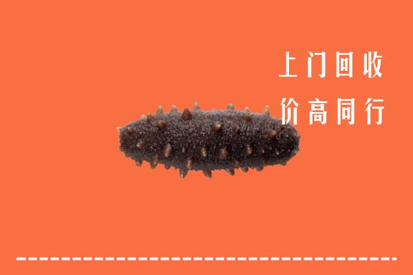 克拉玛依区回收海参