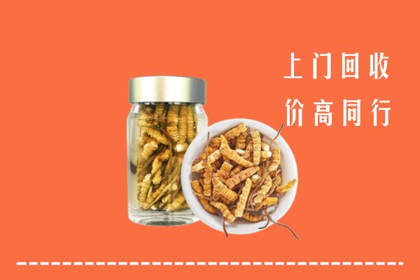 克拉玛依区回收冬虫夏草