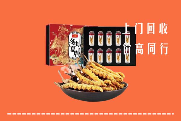 克拉玛依区回收虫草